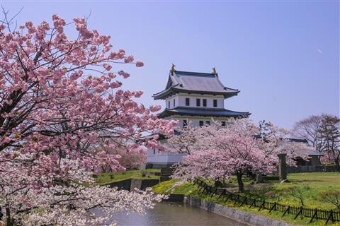 松前城(4月頃撮影)